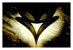 Dark Love