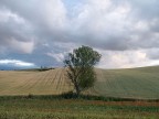 ...atmosfera....