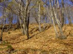 Autunno 5