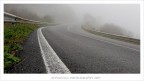 Una strada che da Tolfa porta a Civitavecchia.....quante nebbia!!!!