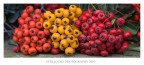 bouquet  di tre colori