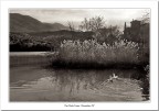 Lago di Toblino #2