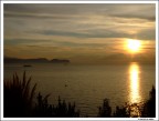 Alba