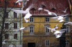 praga