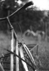 Yashica FX-D quartz
50mm 1.7 Yashica