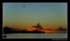 Alba a Moorea