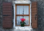 un tocco di colore