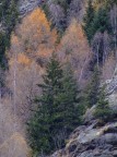 Autunno 6