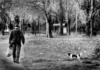immagini di citta'