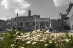 Fori Romani