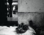 Rat Temple