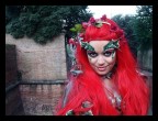 poison ivy