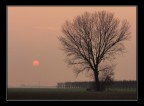 Sole d'inverno