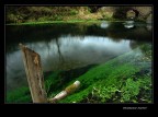 Il fiume