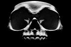 skull