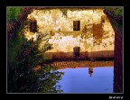 RIFLESSI