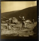 Trebbiatura tradizionale Trebbiatura tradizionale