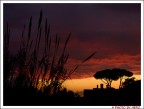 Ischia dicembre 2007
