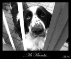 Mi Manchi!