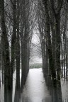 Campagna allagata - argini del Po'