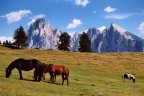 Inserito a richiesta di molti amici