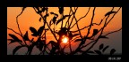 Tramonto D'Autunno