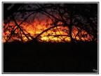 Tramonto