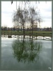 Riflesso....