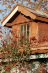 Un ricordo dell' autunno in Russia che ha ormai lasciato il posto a gelidi paesaggi.