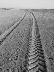 un fato per un tentativo di suggestione, sempre sulla spiaggia di forte dei marmi.