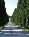 in toscana con canon g6