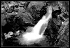 mm 48 - f/18 - 1/3 sec ISO 100
Prova conversione in b/n con software free "Fotofiltre"
Quanto a dotazioni non potr competere con Adobe PS e Corel PSP,ma lo trovo rapido,snello ed efficace x correzioni veloci... 
Cosa ne pensate?
Commenti e critiche sempre graditi...