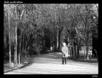 Sulla via del ritorno