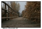 autunno