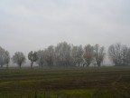 ultimi colori