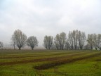 l'opera continua