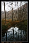 Boschi d'Autunno