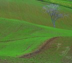 onda verde-3