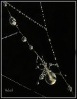 gioiello naturale