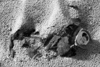 Spiaggia. Secondo voi da quanto tempo  l quella lattina?