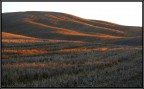 alba