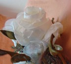 rosa di carta