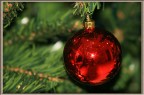 Buon Natale