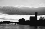 La cittadella di pisa al tramonto, stormi di uccelli nel cielo
