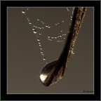 Agua y madera