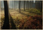 controluce