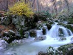 Autunno nel torrente