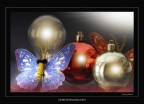 Christmas@Lights