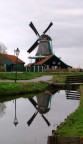 mulino