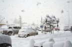 era da tempo che non si vedeva una nevicata cosi bella a Campobasso. Altro che buco dell'OZONO...altro che non nevica piu'.....ci vuol solo PAZIENZA nella vita.
Un saluto a tutti gli ecologisti .....bye!
